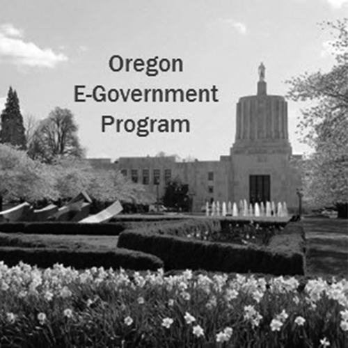 E-Government Program