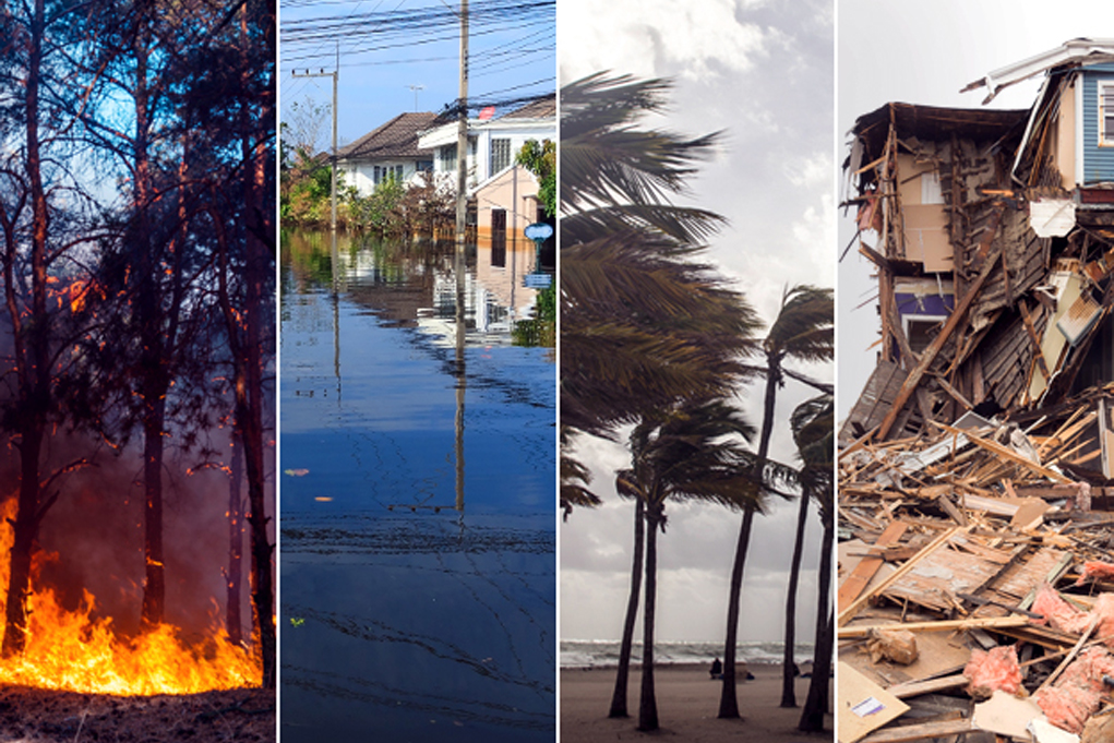 10 things 'I wish I had known' before the disaster hit - ...