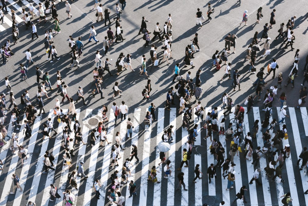 people walking on crosswalk