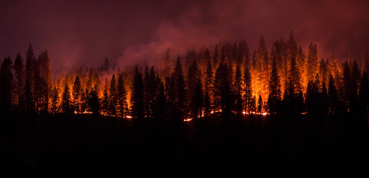 forest fire in california