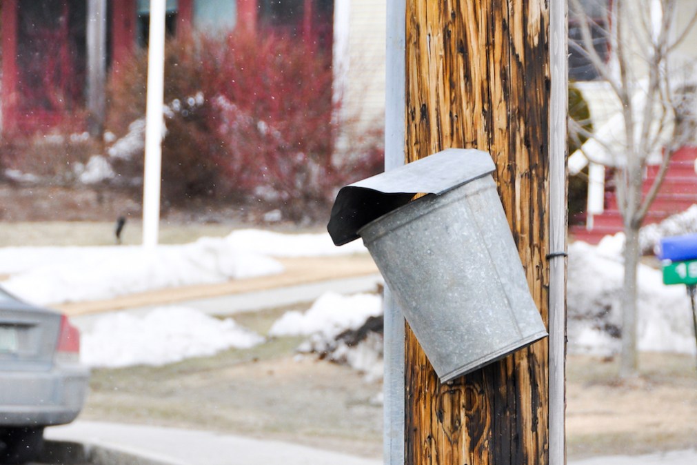 utility pole