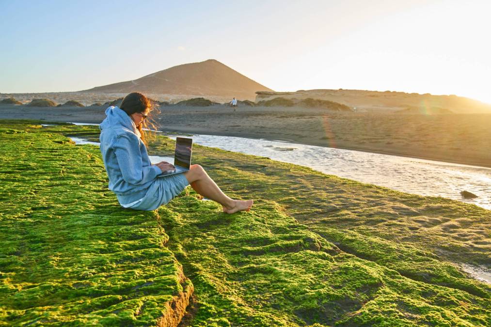 woman using laptop in the wild