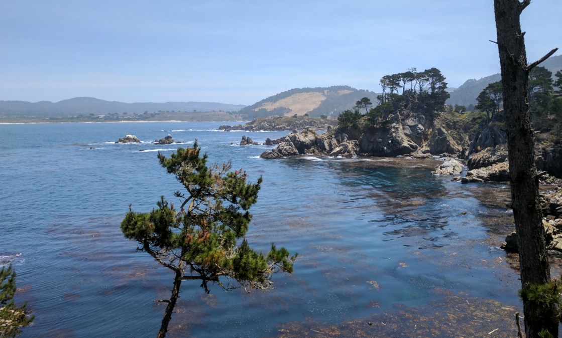 Point Lobos State Natural Reserve