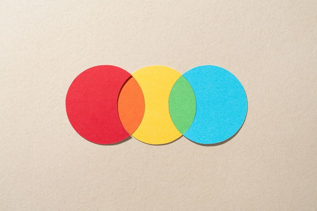 construction paper Venn diagram