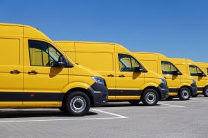 yellow vans