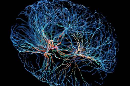 functional brain scan illustration