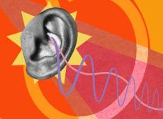 ear