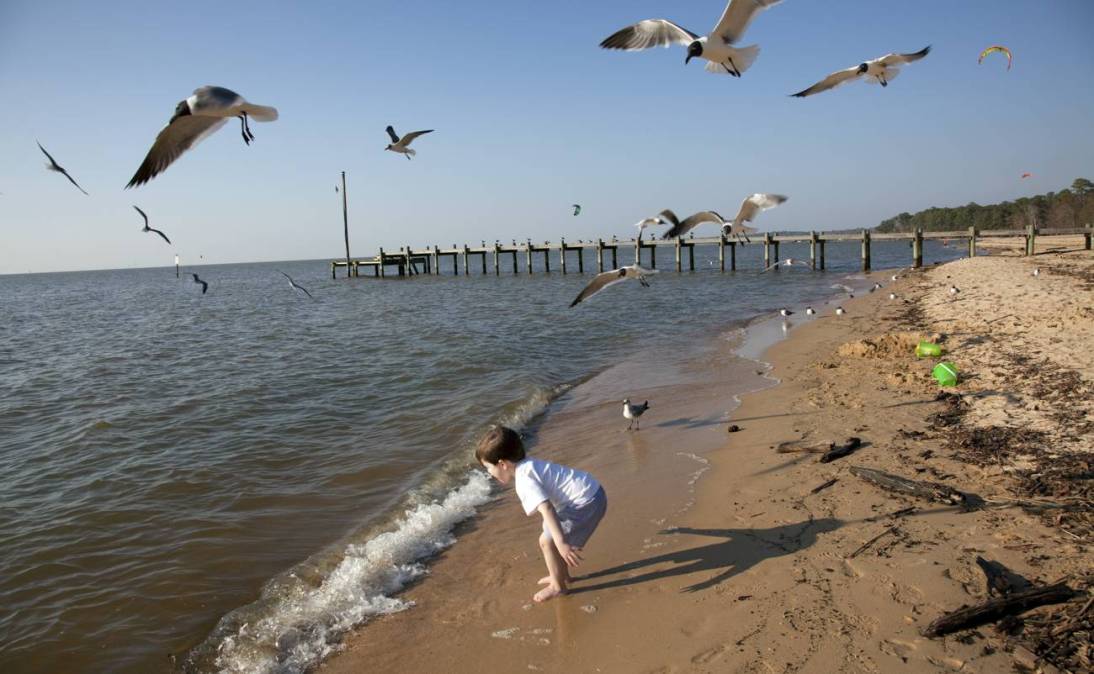 Alabama beach