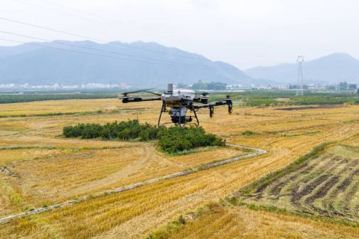 drone in China farmland