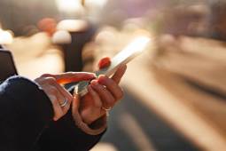 person holding smartphone