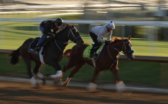 Kentucky Derby horsies