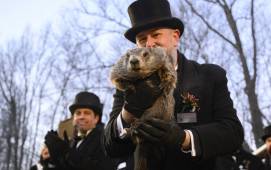 Punxsutawney Phil