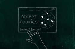 Accept cookies sketch